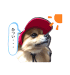 ポメ穂々の愉快な1日（個別スタンプ：10）