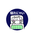 ひげの長い白ネコ（個別スタンプ：8）