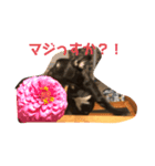フレブル★ラスタんぷ3（個別スタンプ：4）