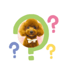 レオンandこた（個別スタンプ：5）