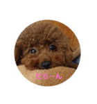レオンandこた（個別スタンプ：7）