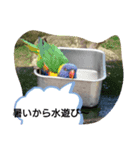 楽しい～（個別スタンプ：4）