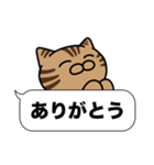 キジトラ猫✨吹き出しデカ文字✨大和猫（個別スタンプ：1）