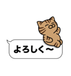 キジトラ猫✨吹き出しデカ文字✨大和猫（個別スタンプ：13）