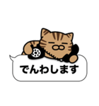 キジトラ猫✨吹き出しデカ文字✨大和猫（個別スタンプ：19）