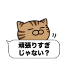 キジトラ猫✨吹き出しデカ文字✨大和猫（個別スタンプ：24）