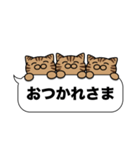 キジトラ猫✨吹き出しデカ文字✨大和猫（個別スタンプ：28）