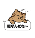 キジトラ猫✨吹き出しデカ文字✨大和猫（個別スタンプ：37）