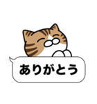 キジ白猫✨吹き出しデカ文字スタンプ✨大和猫（個別スタンプ：1）