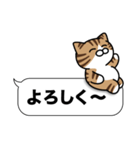 キジ白猫✨吹き出しデカ文字スタンプ✨大和猫（個別スタンプ：13）