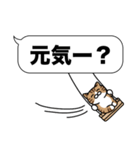 キジ白猫✨吹き出しデカ文字スタンプ✨大和猫（個別スタンプ：14）