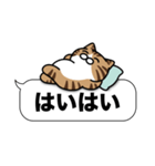 キジ白猫✨吹き出しデカ文字スタンプ✨大和猫（個別スタンプ：20）