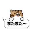 キジ白猫✨吹き出しデカ文字スタンプ✨大和猫（個別スタンプ：21）