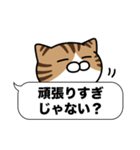 キジ白猫✨吹き出しデカ文字スタンプ✨大和猫（個別スタンプ：24）