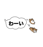 キジ白猫✨吹き出しデカ文字スタンプ✨大和猫（個別スタンプ：26）