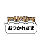 キジ白猫✨吹き出しデカ文字スタンプ✨大和猫（個別スタンプ：28）