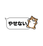 キジ白猫✨吹き出しデカ文字スタンプ✨大和猫（個別スタンプ：35）