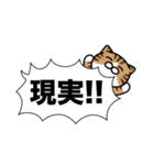 キジ白猫✨吹き出しデカ文字スタンプ✨大和猫（個別スタンプ：36）