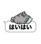 サバトラ猫✨吹き出しデカ文字✨大和猫（個別スタンプ：20）