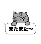 サバトラ猫✨吹き出しデカ文字✨大和猫（個別スタンプ：21）