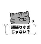 サバトラ猫✨吹き出しデカ文字✨大和猫（個別スタンプ：24）