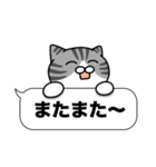 サバ白猫✨吹き出しデカ文字スタンプ✨大和猫（個別スタンプ：21）