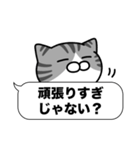 サバ白猫✨吹き出しデカ文字スタンプ✨大和猫（個別スタンプ：24）