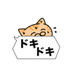 茶トラ猫✨吹き出しデカ文字スタンプ✨大和猫（個別スタンプ：15）