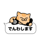 茶トラ猫✨吹き出しデカ文字スタンプ✨大和猫（個別スタンプ：19）