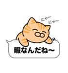 茶トラ猫✨吹き出しデカ文字スタンプ✨大和猫（個別スタンプ：37）