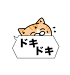 茶白猫✨吹き出しデカ文字スタンプ✨大和猫（個別スタンプ：15）