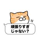 茶白猫✨吹き出しデカ文字スタンプ✨大和猫（個別スタンプ：24）