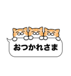 茶白猫✨吹き出しデカ文字スタンプ✨大和猫（個別スタンプ：28）