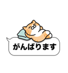 茶白猫✨吹き出しデカ文字スタンプ✨大和猫（個別スタンプ：31）