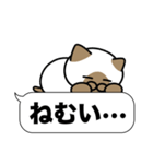 シャム猫✨吹き出しデカ文字スタンプ✨大和猫（個別スタンプ：11）