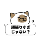 シャム猫✨吹き出しデカ文字スタンプ✨大和猫（個別スタンプ：24）