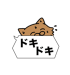 毛長茶猫✨吹き出しデカ文字スタンプ✨大和猫（個別スタンプ：15）