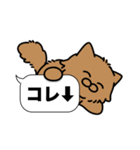 毛長茶猫✨吹き出しデカ文字スタンプ✨大和猫（個別スタンプ：17）