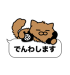 毛長茶猫✨吹き出しデカ文字スタンプ✨大和猫（個別スタンプ：19）