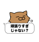 毛長茶猫✨吹き出しデカ文字スタンプ✨大和猫（個別スタンプ：24）