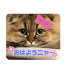 kumiko_20200723142522（個別スタンプ：10）