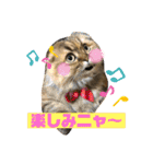 kumiko_20200723142522（個別スタンプ：14）