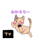おうし座ちゃんとねこスタンプ☆日常☆（個別スタンプ：10）
