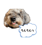 くうちゃんだよ④（個別スタンプ：1）