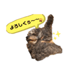 くうちゃんだよ④（個別スタンプ：6）