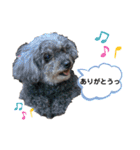 くうちゃんだよ④（個別スタンプ：14）