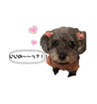 くうちゃんだよ④（個別スタンプ：15）