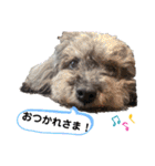 くうちゃんだよ④（個別スタンプ：19）