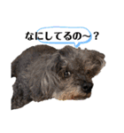 くうちゃんだよ④（個別スタンプ：24）