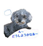 くうちゃんだよ④（個別スタンプ：32）